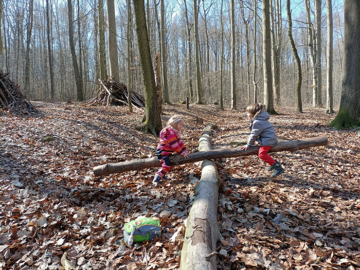 Unsere-Waldtage---selbstgebaute-Wippe